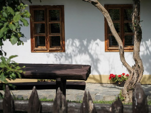  1001 Траг - Петријин венац - Момчило Станојевић 