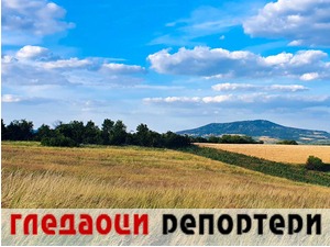 Гледаоци репортери (6. август 2022)