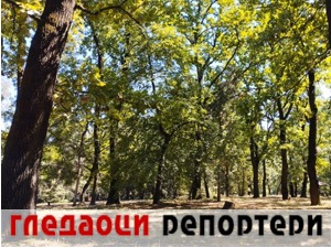 Гледаоци репортери (7. август 2022)