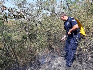 Поново пожар на Вршачком брегу, ватра убрзо обуздана
