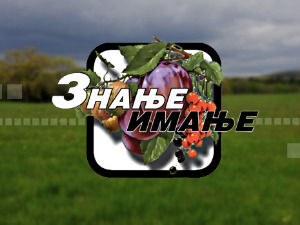 Знање имање: Мудро село