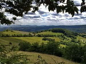 Село Гостиница - престоница воћа ужичког краја