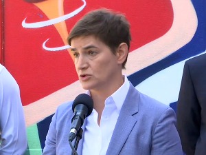 Брнабић: Држава не може да гарантује цену сунцокрета, али можемо да разговарамо о маржи