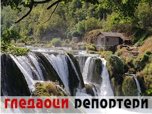 Гледаоци репортери (14. август 2022)