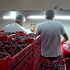 "Ако нећеш да радиш, има ко хоће" више не важи – промене на тржишту рада ојачале позицију радника