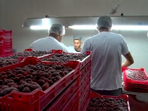 "Ако нећеш да радиш, има ко хоће" више не важи – промене на тржишту рада ојачале позицију радника