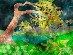  Добро јутро децо: Ветар 