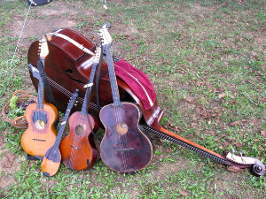 Тамбурица златна жица 