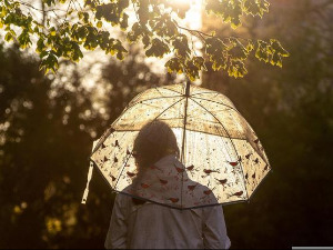  1001 Траг - Кишобран - Гордана Лазаревић 