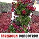 Гледаоци репортери (19. август 2022)