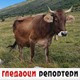 Гледаоци репортери (21. август 2022)