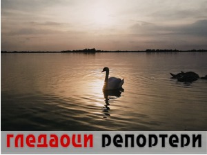 Гледаоци репортери (22. август 2022)