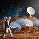 Која би биљка могла да нас прехрани на Марсу