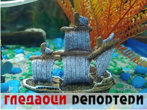 Гледаоци репортери (24. август 2022)