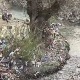 "Севап" - за чистију реку Рашку 