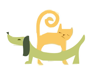  Добро јутро децо: Окупација 