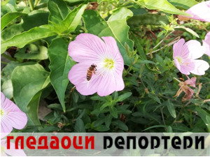Гледаоци репортери (27. август 2022)
