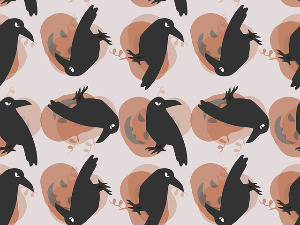 	Радио драма: Чавка, 1. део 