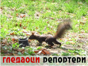 Гледаоци репортери (2. септембар 2022)