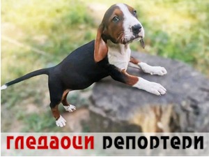 Гледаоци репортери (3. септембар 2022)