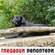 Гледаоци репортери (5. септембар 2022)
