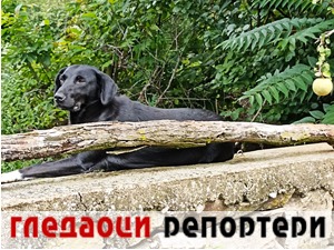 Гледаоци репортери (5. септембар 2022)