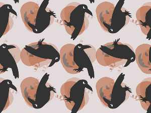 	Радио драма: Чавка, завршни део 