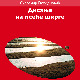 Нова књига песама Славомира Гвозденовића