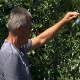 Радомир има руднике у Аризони и живи прави амерички сан, али завичај не заборавља