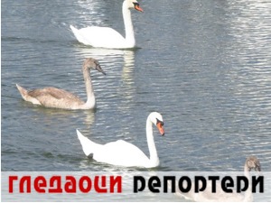 Гледаоци репортери (12. септембар 2022)