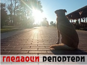 Гледаоци репортери (13. септембар 2022)