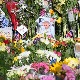 Вучић добио позив да присуствује сахрани краљице Елизабете