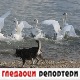 Гледаоци репортери (14. септембар 2022)