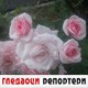 Гледаоци репортери (16. септембар 2022)