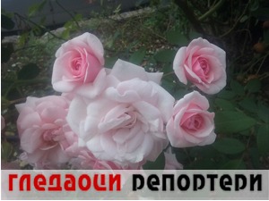 Гледаоци репортери (16. септембар 2022)