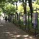 Симболи Ниша на изложби на шеталишту испред Градске куће