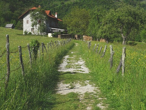  1001 Траг - Добро јутро Шумадијо - Гордана Стојићевић 