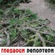 Гледаоци репортери (19. септембар 2022)
