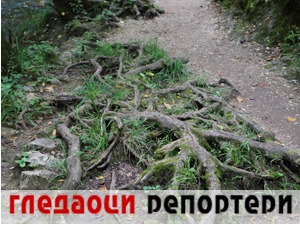 Гледаоци репортери (19. септембар 2022)