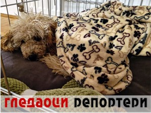 Гледаоци репортери (20. септембар 2022)