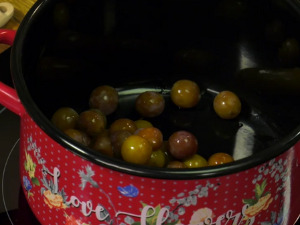  1001 Траг - Џенерика - Зорица Минић 