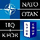 КФОР најавио војну вежбу Златна сабља