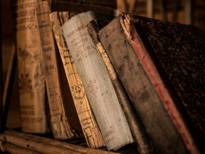 У друштву песника - Песме Анице Савић Ребац - Јелена Глишић 