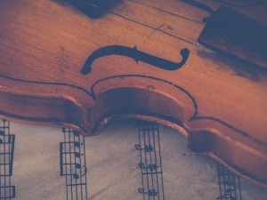 Алиша Нелсон, виола