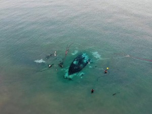Више од хиљаду година стара олупина брода довела у питање историјске уџбенике