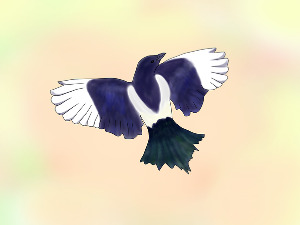  Добро јутро децо: Сврака хоће у школу 