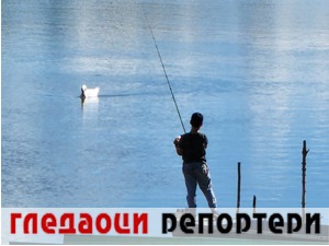 Гледаоци репортери (3. октобар 2022)
