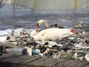 Како комунални отпад претворити у сировину за топлотну или електричну енергију
