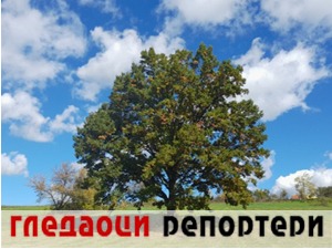 Гледаоци репортери (6. октобар 2022)