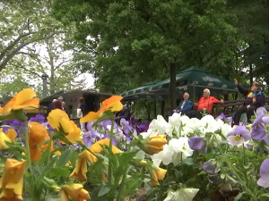  1001 Траг - Нишка Бања - Оливера Катарина 